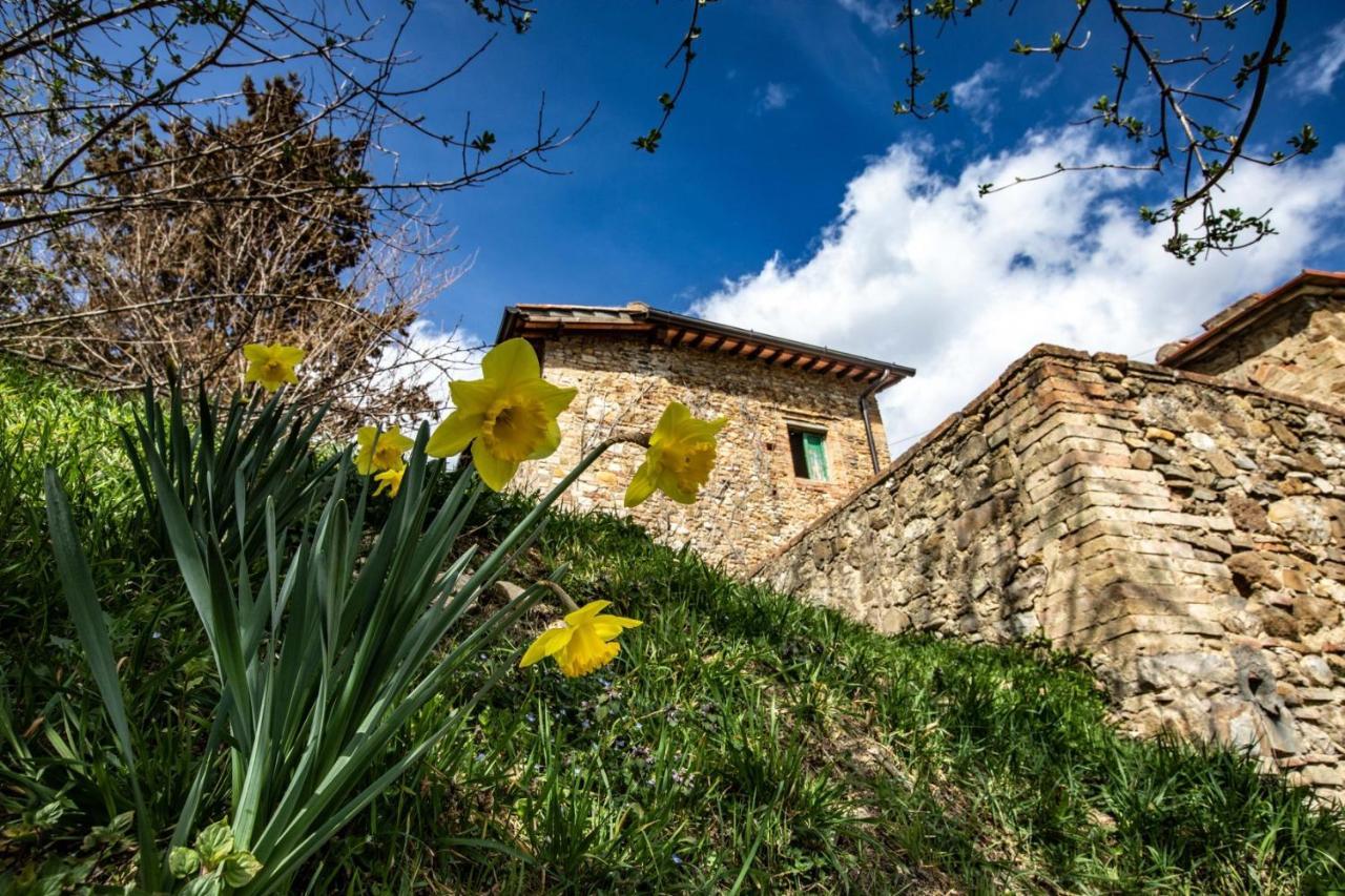Готель Campora House Tavarnelle Val di Pesa Екстер'єр фото
